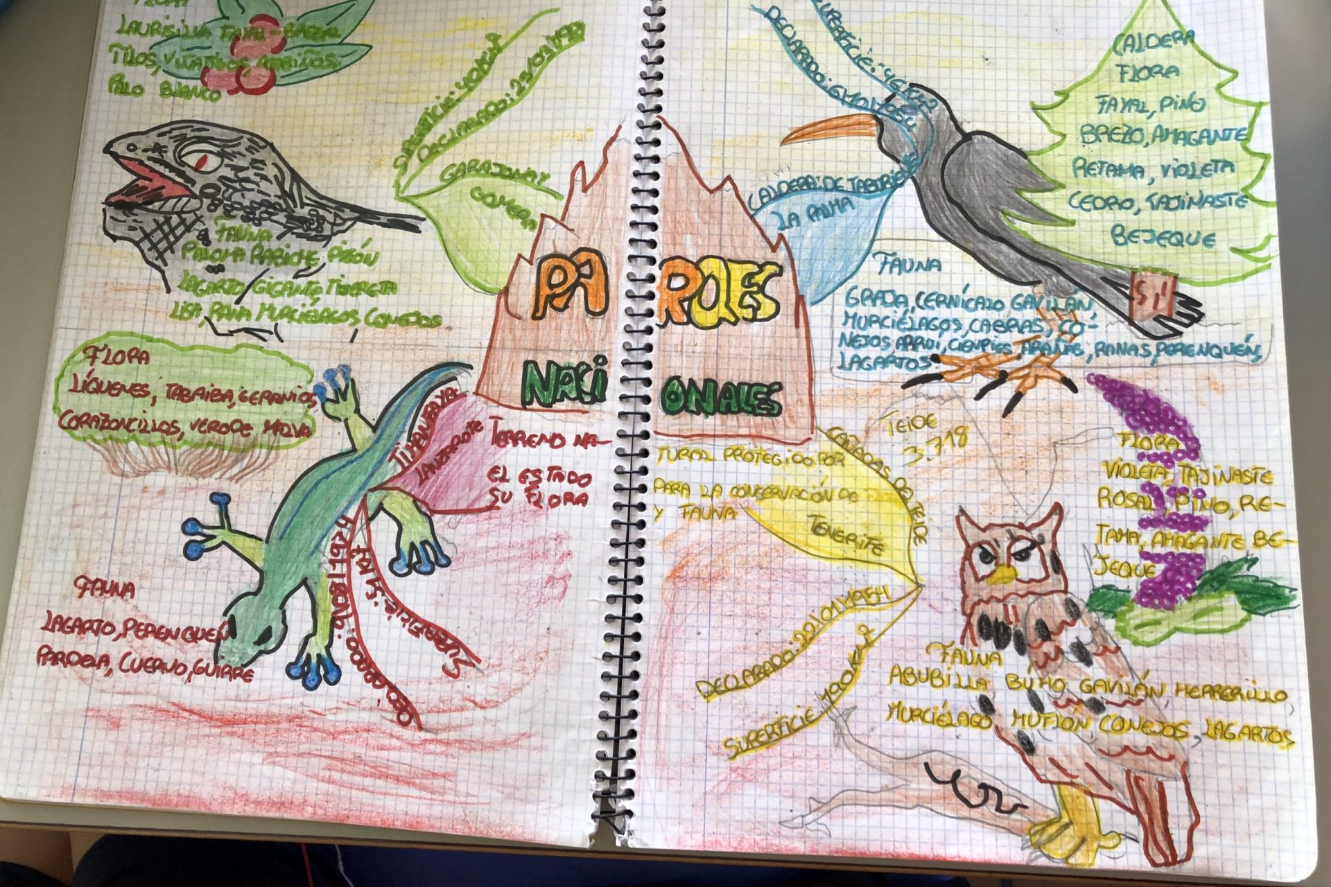 abora_primaria_2